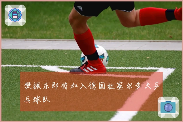 樊振东即将加入德国杜塞尔多夫乒乓球队