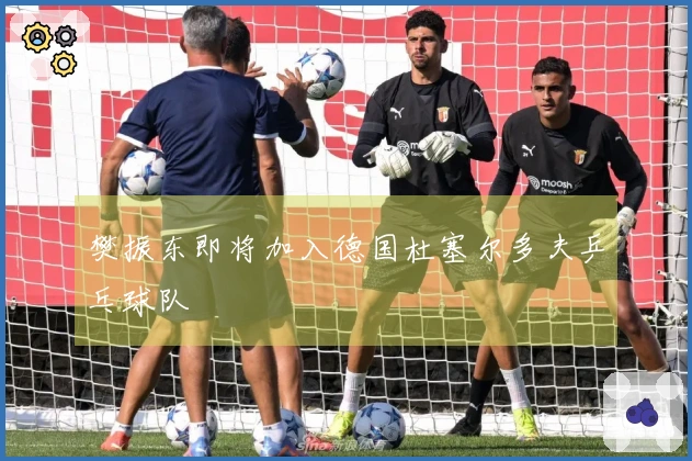 樊振东即将加入德国杜塞尔多夫乒乓球队