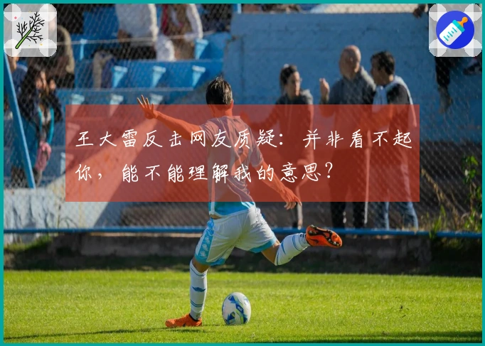 王大雷反击网友质疑：并非看不起你，能不能理解我的意思？